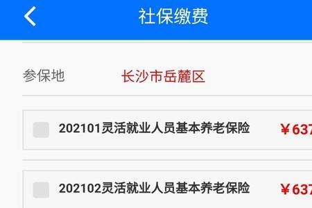 长沙灵活就业交100%15年后拿多少