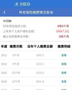 哪里可以查看养老保险缴费情况