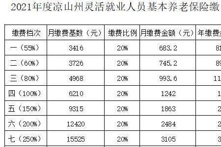 2022年个体养老金缴费是多少