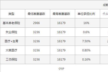 社保每个月扣300公司帮交多少