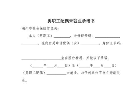 灵活就业人员承诺书怎么填写