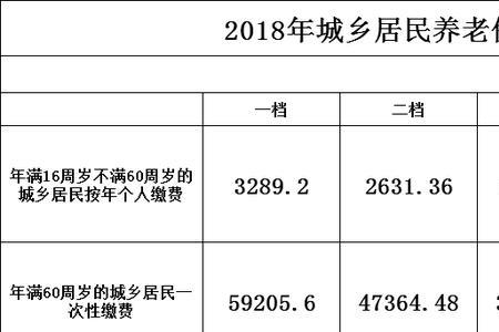 成都市农村养老保险怎么缴费