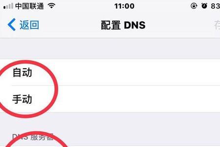 iphone用哪个dns服务器
