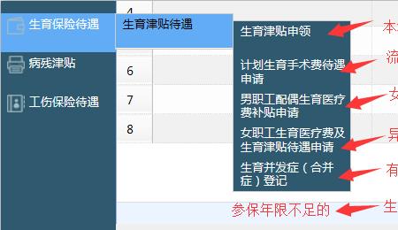 生育津贴查询系统官网