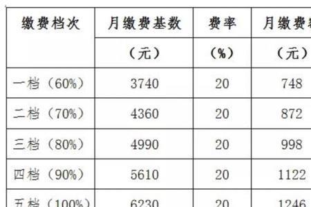 绵阳灵活就业社保2022年缴费标准