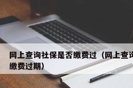 社保为什么没有公司缴纳部分