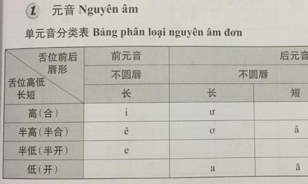 汉语拼音中的元音和辅音是那些