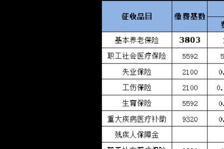 广州市社保9月份怎么交