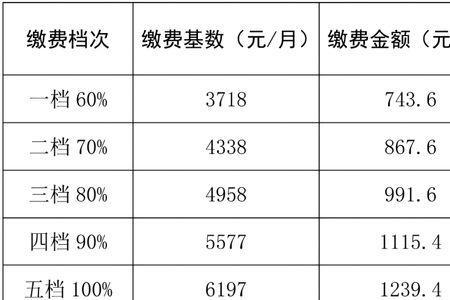 2022年天津灵活就业社保缴费标准