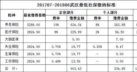 武汉社保信息多久更新