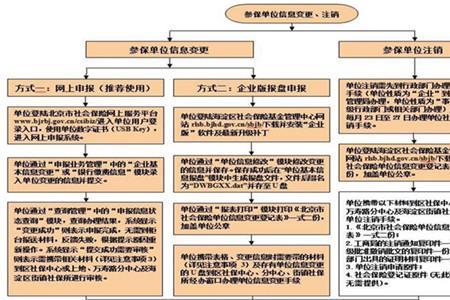 潍坊社保申报流程