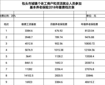 社保灵活就业交995元是什么档次