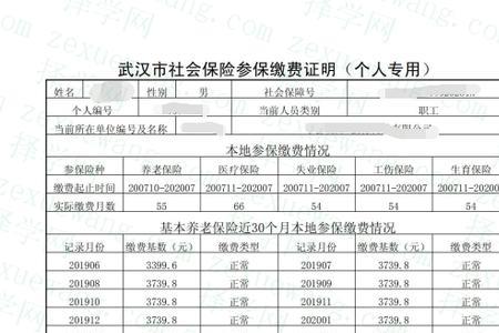 社保缴纳证明好开吗