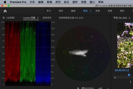 pr如何给视频制作电影调色效果