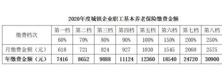 退休年审记录能查询吗