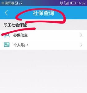 数字人社怎么查社保