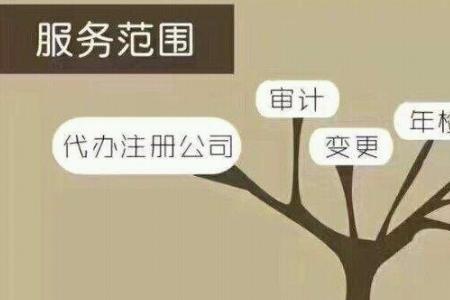 代理记账机构范围