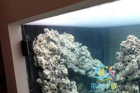 海水缸水发白雾蒙蒙的