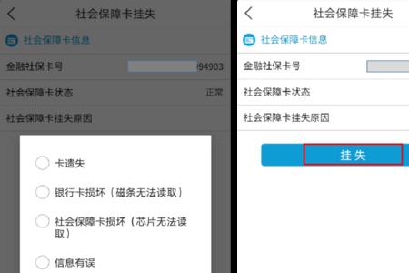为什么挂失社保后查不到啦