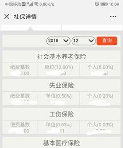 输入姓名查询社保金额