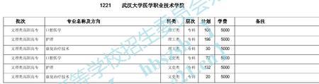 洛阳医学高等专科学校的代码