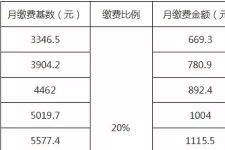 本月缴费基数什么意思