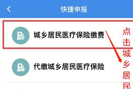 如何查询城镇居民医保缴费情况