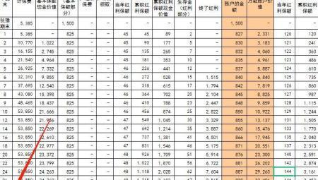 分红型保险有返还本金的吗