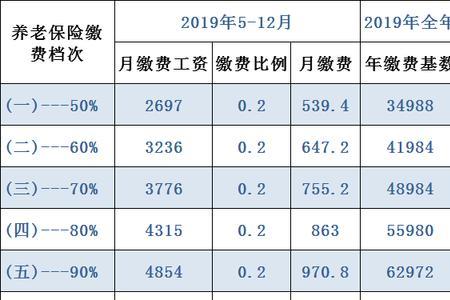 县城社保缴费标准