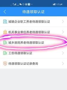 网上怎么办理个人养老保险