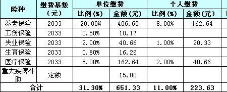 5险公司和个人分别交多少