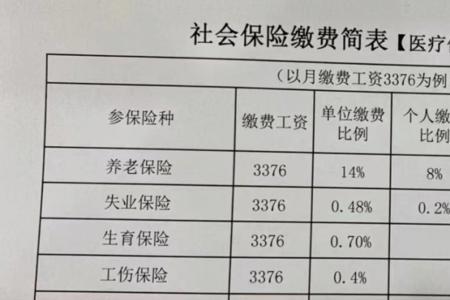 11月份社保缴费12月份才能显示吗