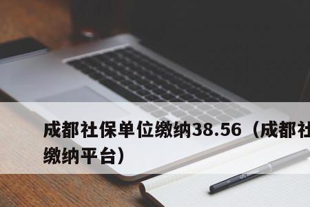 个人缴纳社保和挂单位交的区别