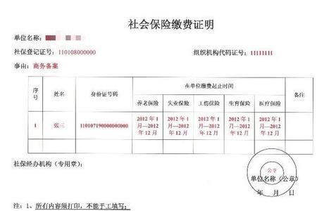 打印社保参保凭证是什么