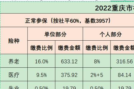 养老保险交下限啥意思