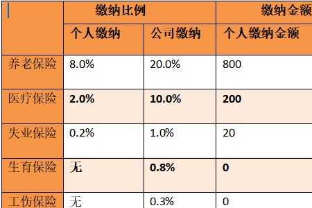 为什么社保明细少了好几个月