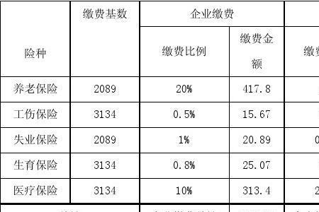 2010镇江社保缴费基数