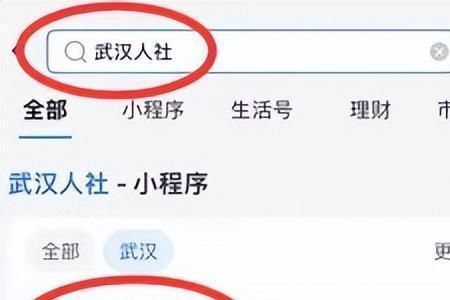 武汉灵活就业缴费了怎么查询