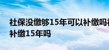 农村200元社保可以一次性补缴吗