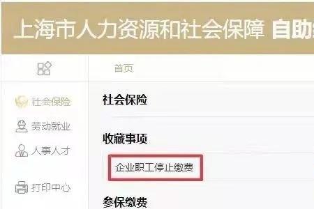 上海个人社保查询网上查询系统