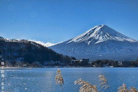 日本富士山旅游要多少钱~