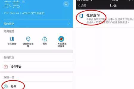 怎么用微信查询东莞社保情况