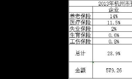 杭州社保累计缴纳月数如何查询