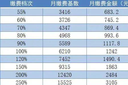 2022四川西昌灵活就业缴费标准