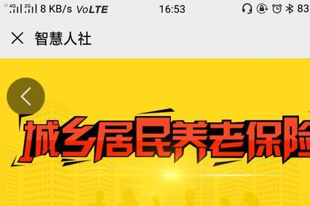 城乡居民养老保险查询怎么下载