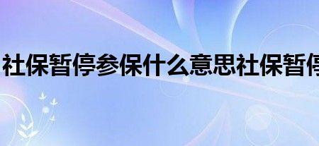 社保查询暂不可用什么意思