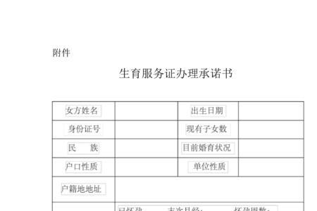 河北准生证网上申请流程