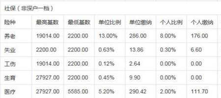 深圳社保补缴后多久能查到