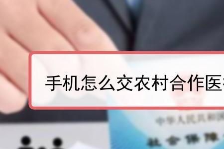 支付宝能交社保医保吗