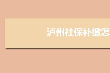 2022泸州市医保缴费标准